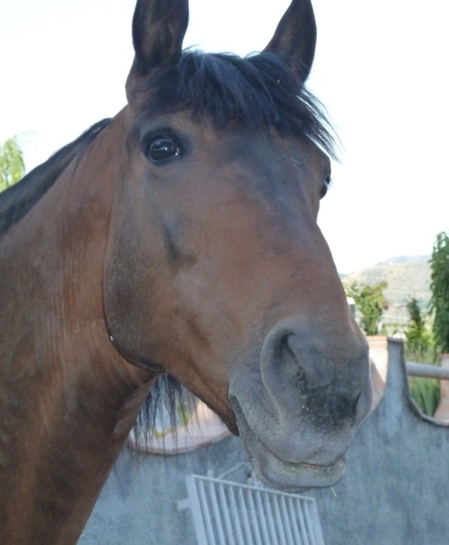 Aren't I the clever one!