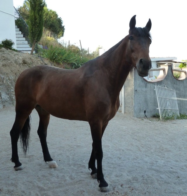 That will teach you to put me on a diet!!