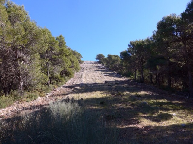 Crossing a fire break