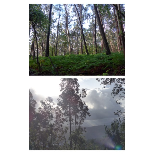 A very telling forward/backward duo