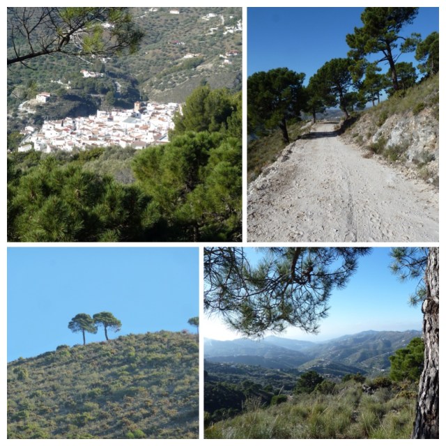Looking down on Canillas de Albaida